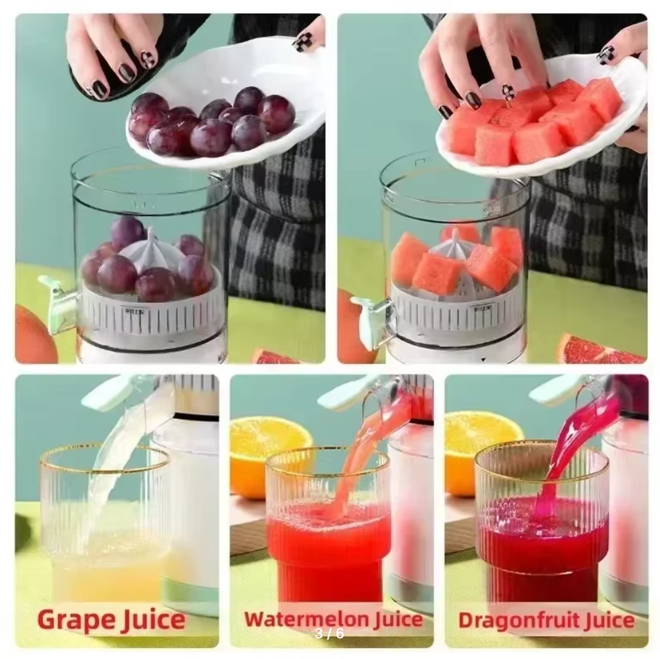 Electric Juicer